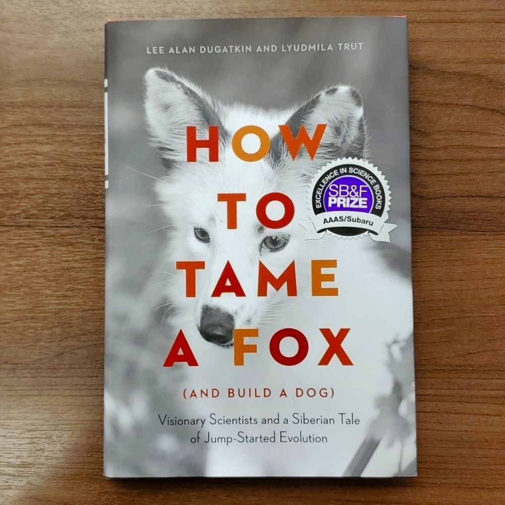 🔵 How to tame a fox ( and build a bull dog )